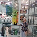 ��������� �� ������� ���� ����������