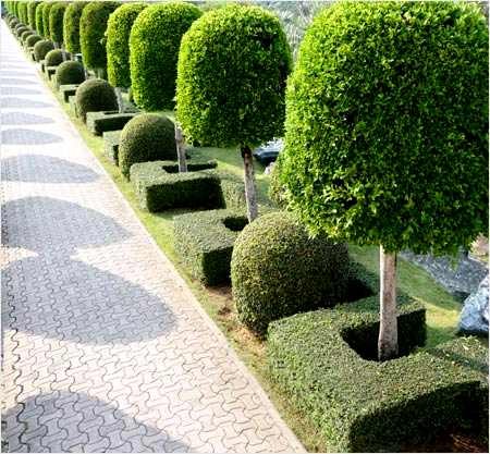 дизайн сада,дома и другое - 7 октября 2017 в 21:02