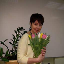 ���� ������, ���������������, 63 ���� - ��������� 5 �������� 2017