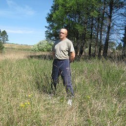 ��������, ����, 66 ���