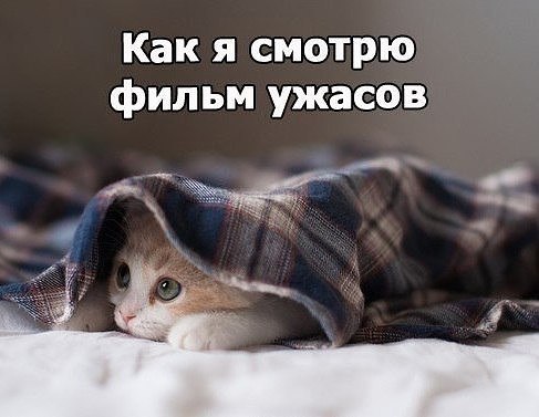   - 12  2017  05:53