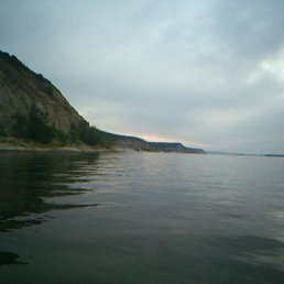 �����, �������, 43 ����