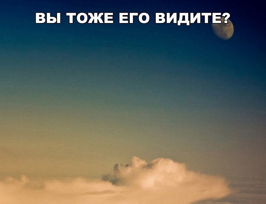    :D - 18  2017  08:02