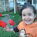  ,  -  7  2017      ۻ