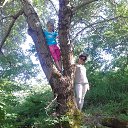  , , 58  -  2  2017   02.06