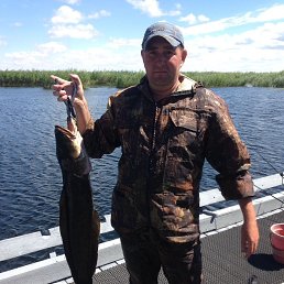 �������, ������, 41 ���