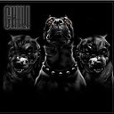 ���� ������, �������, 52 ���� - ��������� 29 ������ 2017