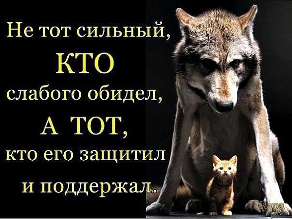 Когда плачет ребенок...МАТЬ может встать даже с предсмертного ложа... Когда плачет МАТЬ...иные дети ... - 2