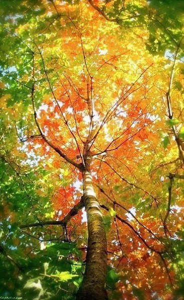  ! - 2  2017  17:12 - 3