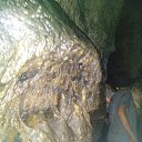 ���� ���������, ��������, 65 ��� - ��������� 15 ��� 2017 � ������ ������ ������-��� 2017�