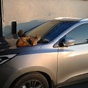 ��������� �� ������� ���� ����������