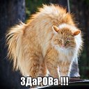���� ������, �����������, 56 ��� - ��������� 16 ���� 2017 � ������ ������ ��������