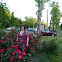 ���� ������, ������, 65 ��� - ��������� 12 ������� 2017 � ������ ���� ����������