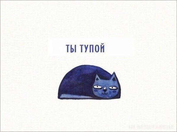    . - 6