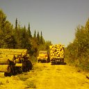 ���� �������, �����������, 42 ���� - ��������� 31 ������� 2017 � ������ ���� ����������