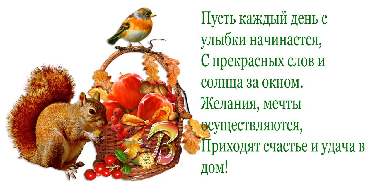  ))) - 6  2017  11:37