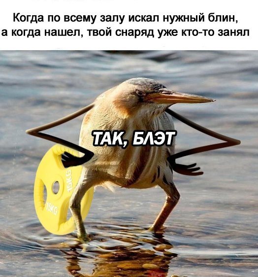  -   - 8  2017  22:40