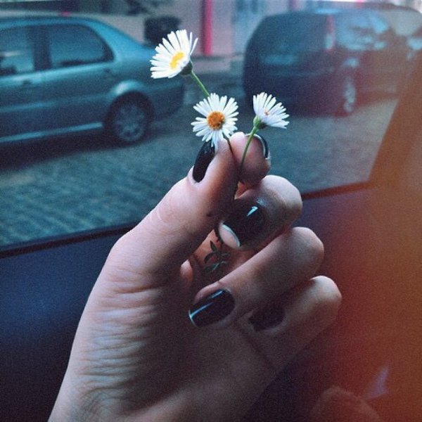 — Ты никогда не найдёшь кого-то похожего на меня. .Я тебе обещаю.
