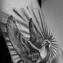 ���� �����, ���������, 37 ��� - ��������� 31 ��� 2017 � ������ ���� ����������