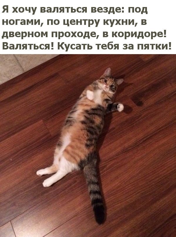  -  - 15  2017  03:39