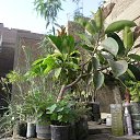 ���� Hamid, ����, 73 ���� - ��������� 4 ���� 2017 � ������ ������ ��������