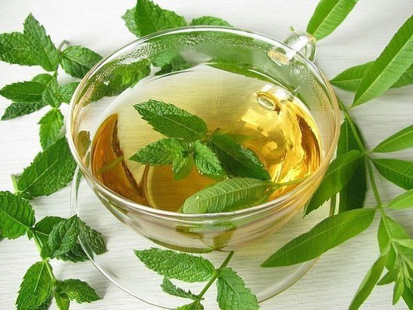 15 способов использования мяты. 1. Снятие спазмов в животе Мята помогает расслабить мышцы ...