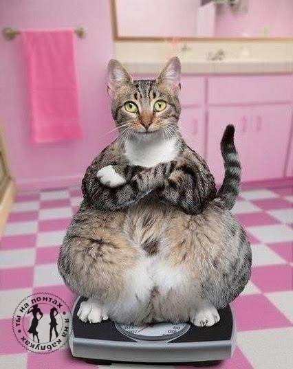    .....    ,  @!..