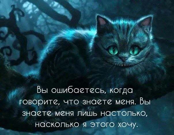  Ը - 16  2017  05:21