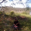 ���� ������, �������, 49 ��� - ��������� 8 ���� 2017 � ������ ���� ����������