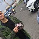 ���� ����������, ����� - ��������� 22 ���� 2017