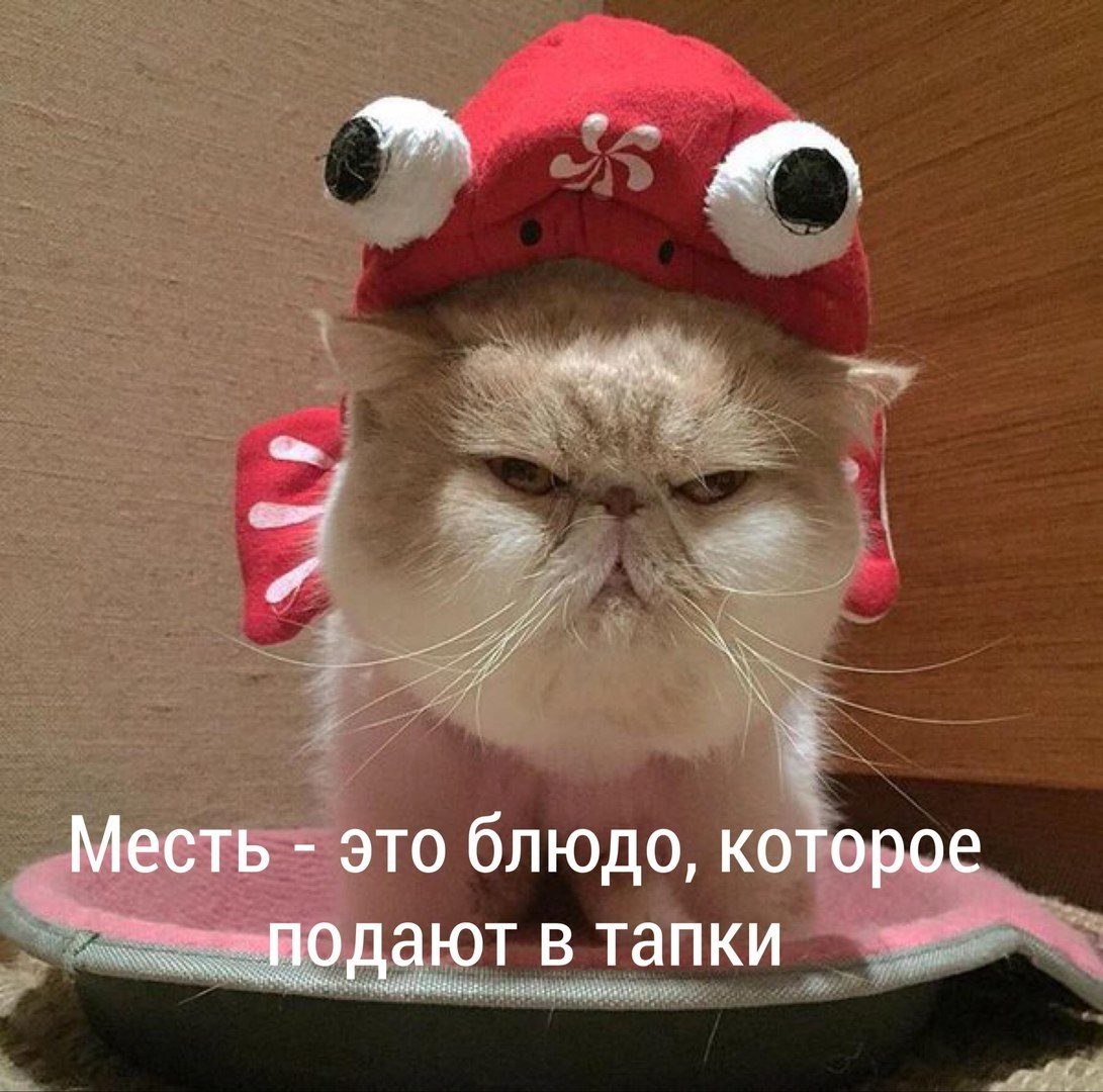   - 14  2017  19:23