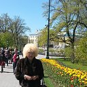 ���� �����, ������������ - ��������� 16 ��� 2017 � ������ �������. ��������������� ���.�