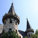  ♥ Fly ♥,  -  5  2017      (09.2017)