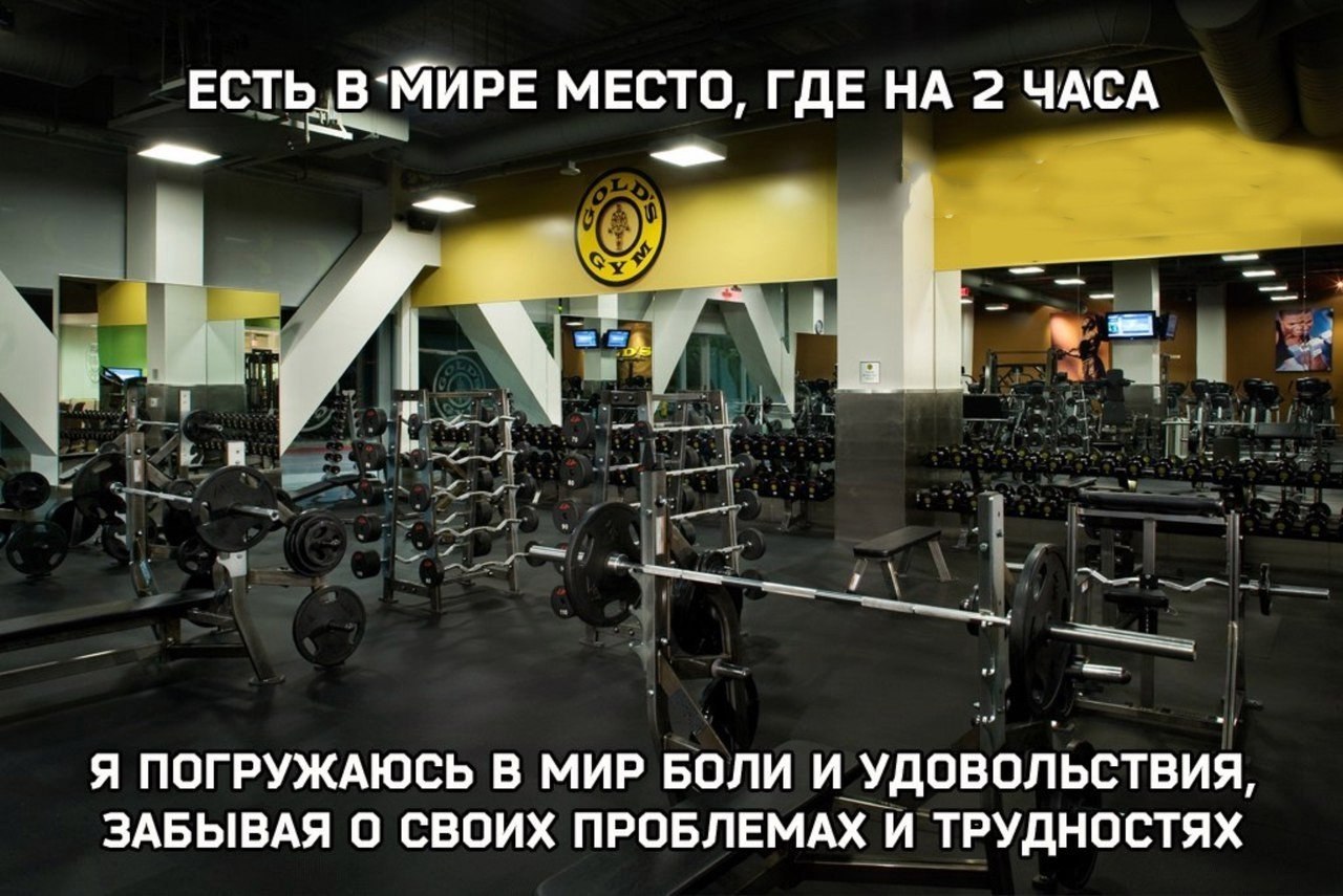 ����� - ��� ����� - 8 ���� 2017 � 06:09