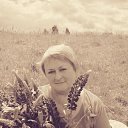 ���� �����, �����, 56 ��� - ��������� 2 ������ 2017 � ������ ���� ����������