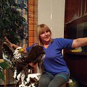 ���� �������, ������ - ��������� 8 ������ 2017 � ������ ���� ����������