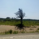 ���� ������, ����-��������� - ��������� 3 ������� 2017 � ������ ���� ����������