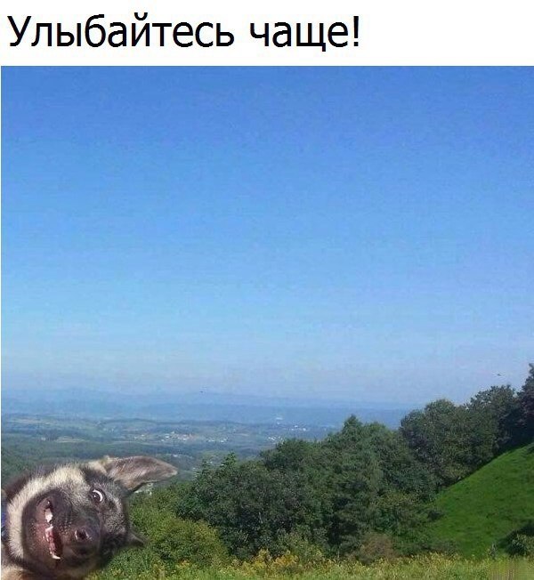   - 22  2017  21:04