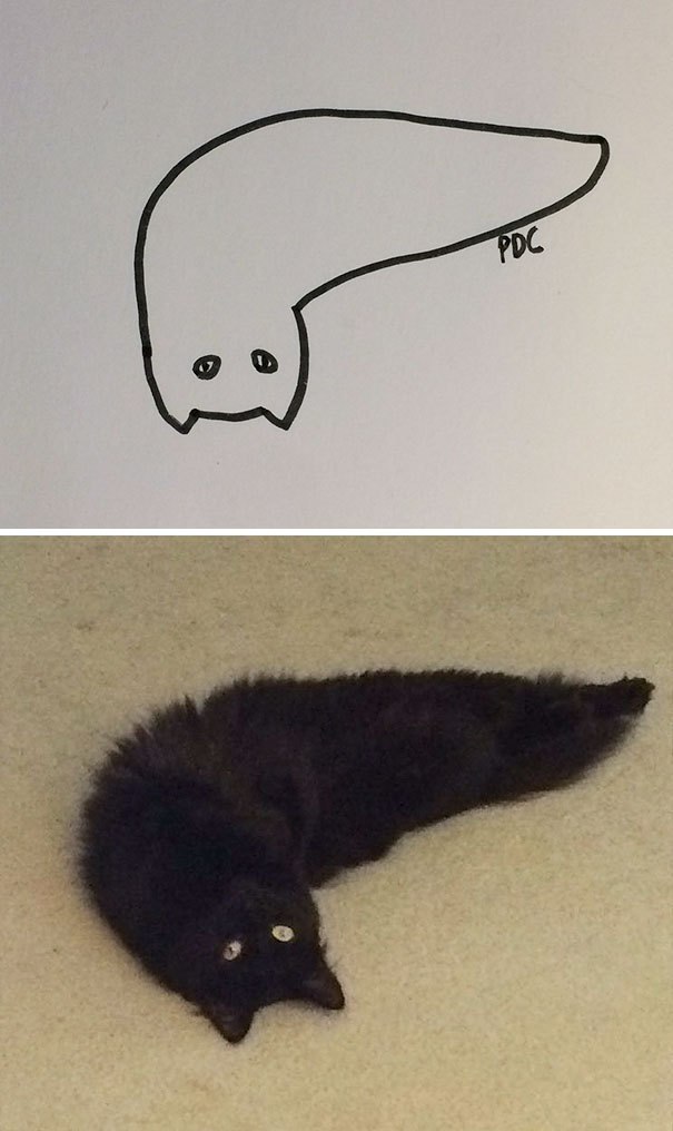       : - 5