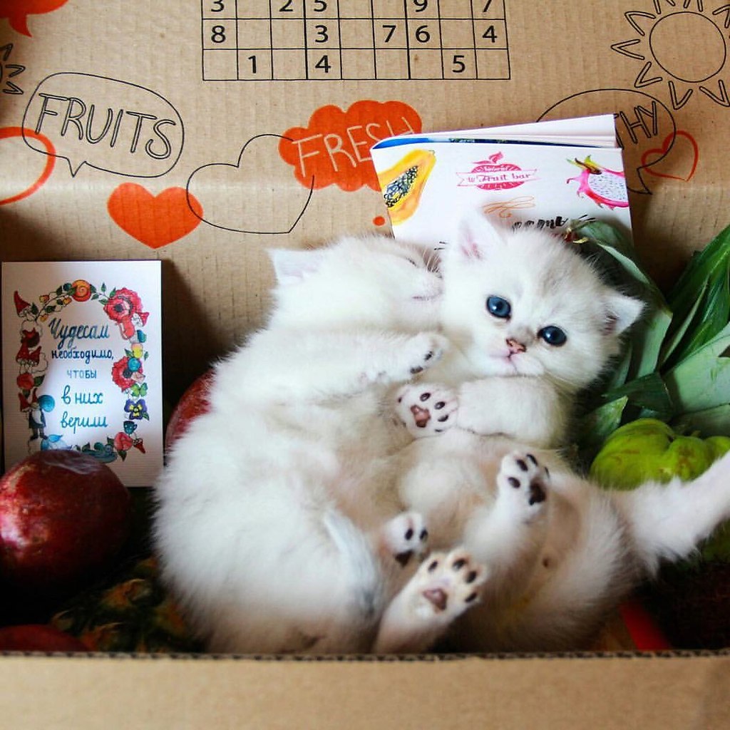    -  FruitBar.  !  https://fs-play.com/away?to=/sl/kbA - 3