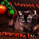 ���� ����, ������� - ��������� 29 �������� 2017 � ������ ������