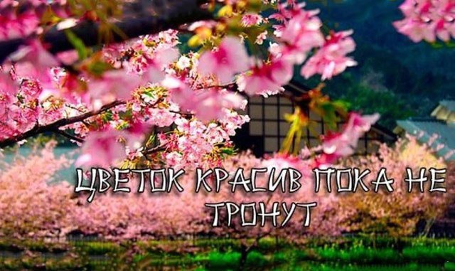  ... - 16  2017  18:50