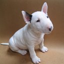 ���� �����, ���������, 37 ��� - ��������� 31 ��� 2017 � ������ ���� ����������