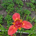 .. ....  ....    )))   :)))