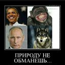 ���� �����, ���������, 45 ��� - ��������� 2 ��� 2017