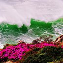  .,  -  3  2017      )