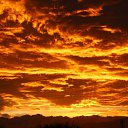 ���� �������, �������, 46 ��� - ��������� 22 ��� 2017 � ������ ��������