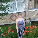 ���� �������, ����������, 44 ���� - ��������� 16 ���� 2017 � ������ ���� ����������