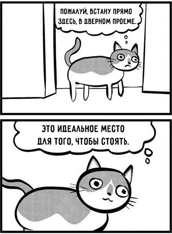 15 ,     