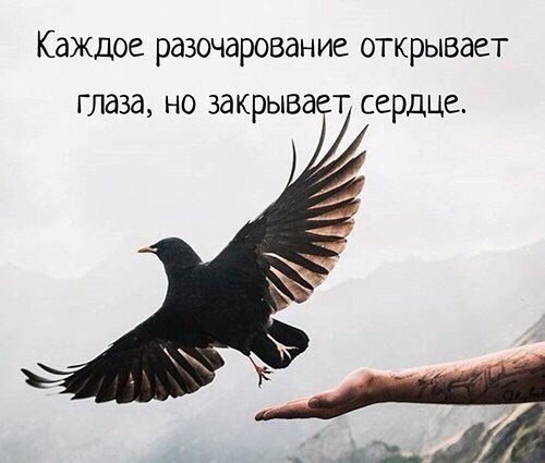     - 10  2017  18:22